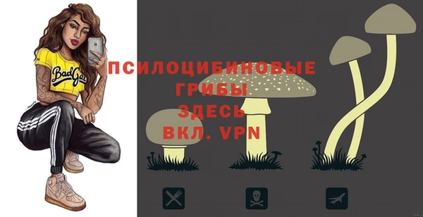 синтетический гашиш Беломорск