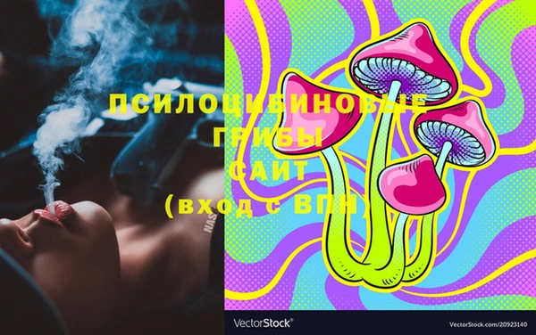 эйфоретик Богородицк