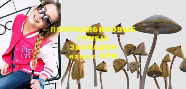 синтетический гашиш Беломорск