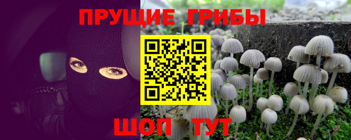 Галлюциногенные грибы Magic Shrooms  Вход с VPN  Кузнецк 