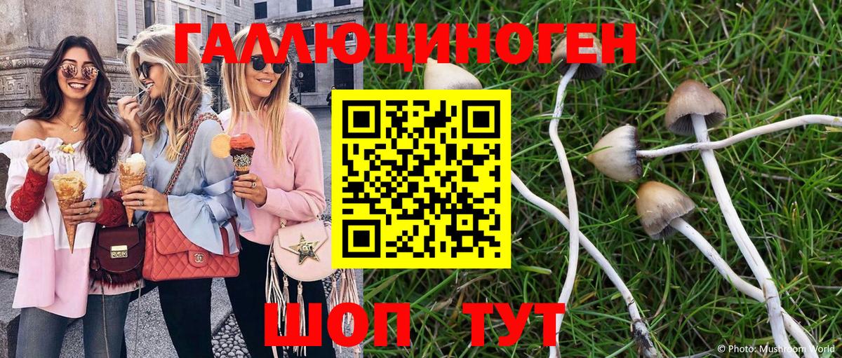 Кодеин  Кузнецк  Вход с VPN  Меф кристаллы  ГАШ  Вейп ТГК  МАРИХУАНА  Экстази 